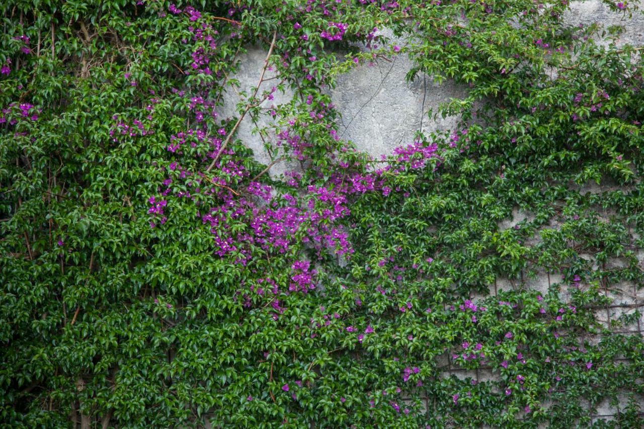 Abelardo'S Home Ribadesella Exterior foto
